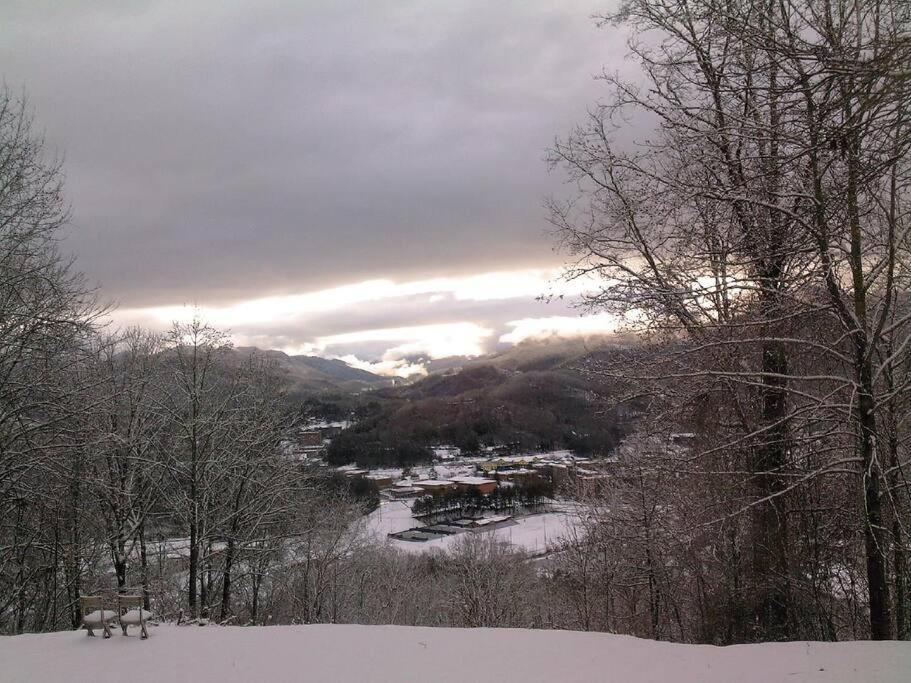 2 Bedroom Overlooks Wcu And Cullowhee Nc - Smoke And Pet Free * Sylva